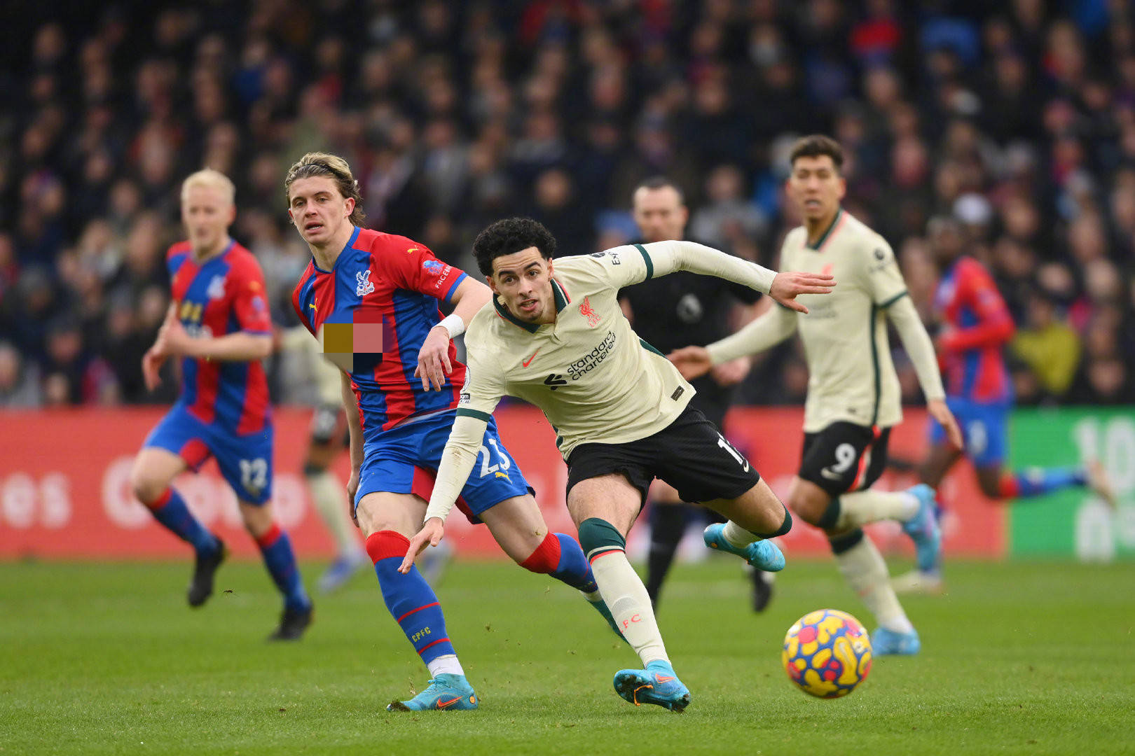 冠军的喜悦 冠军的喜悦